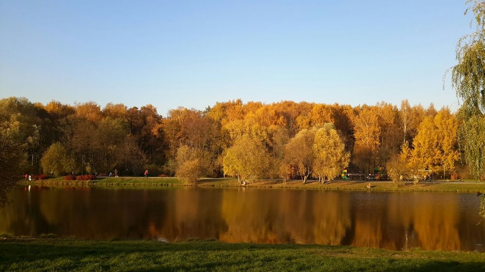 Осень в московском парке