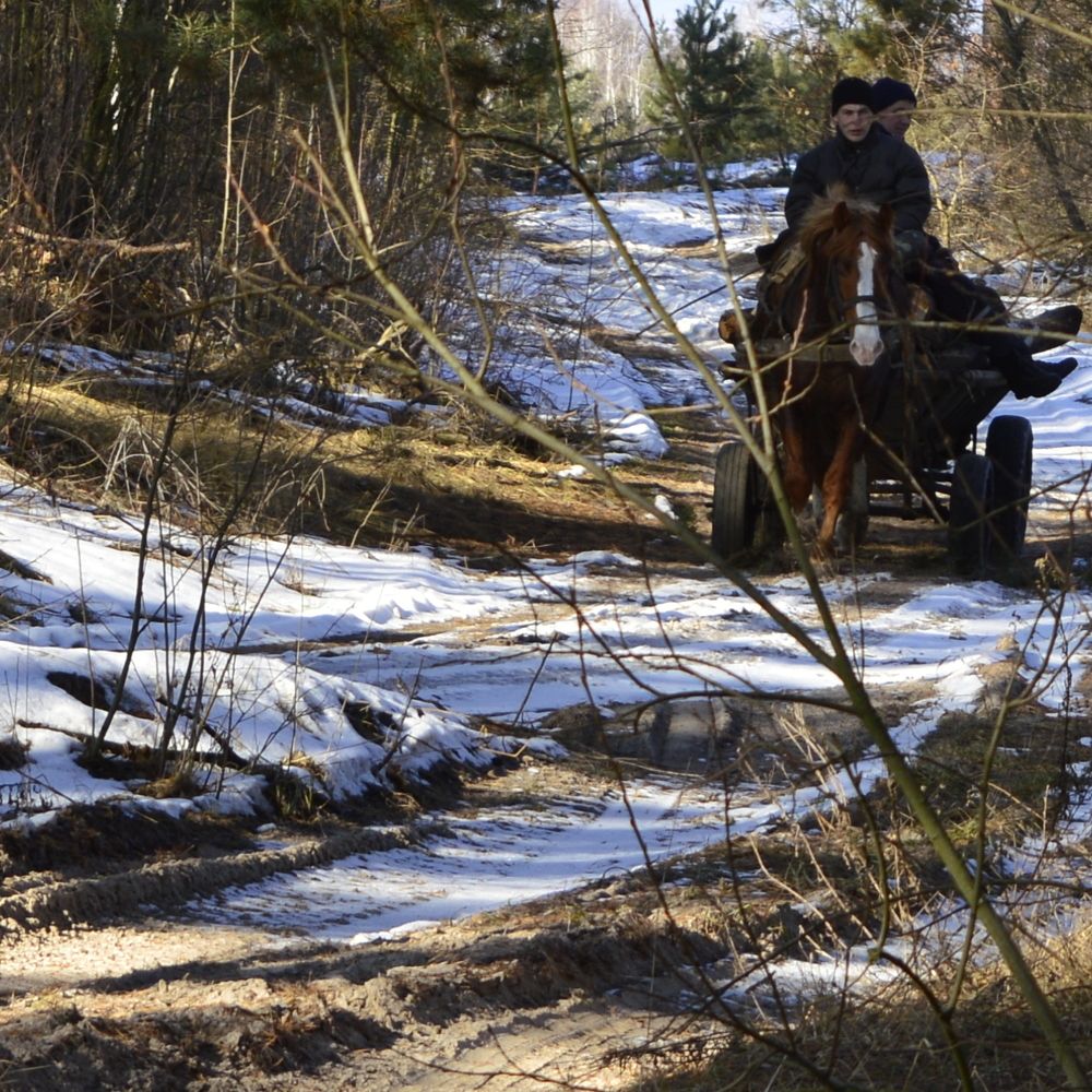 Хворост и воз