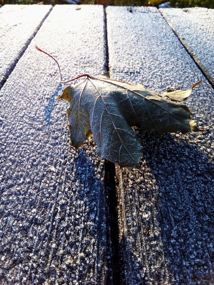 Дыхание зимы