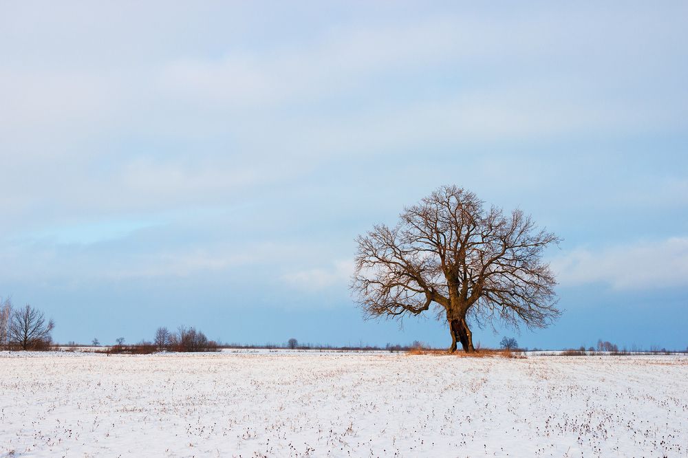 Жажда жизни
