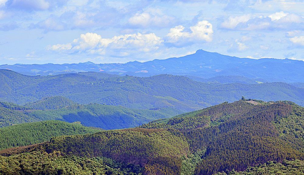 Pedra Redonda