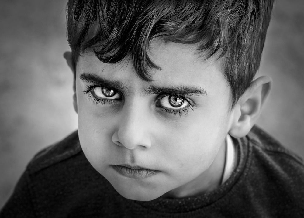 Фотография автора ziba alirezaei58