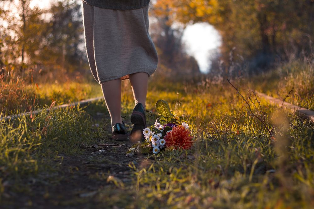 Осенняя прогулка