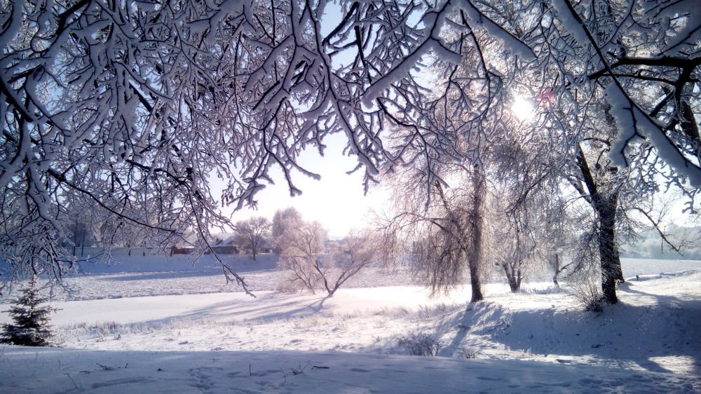 Зимние кружева