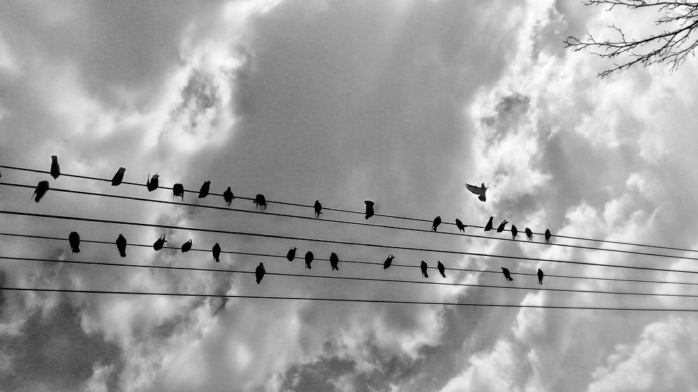 Photograph by zahra qazvini