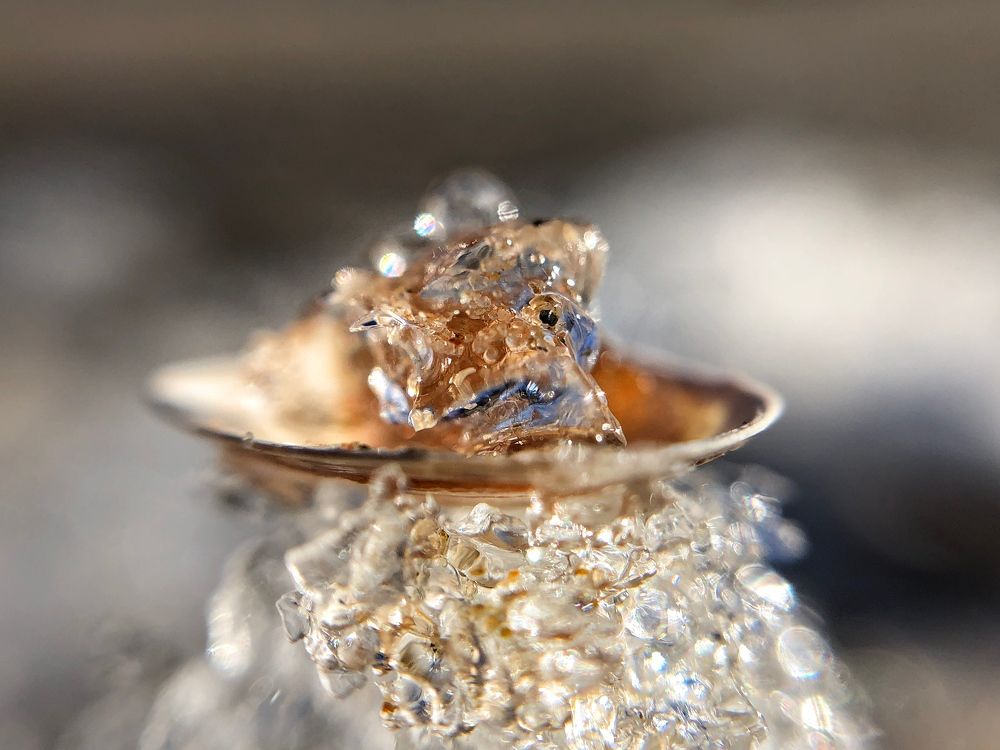 Ледяная башня