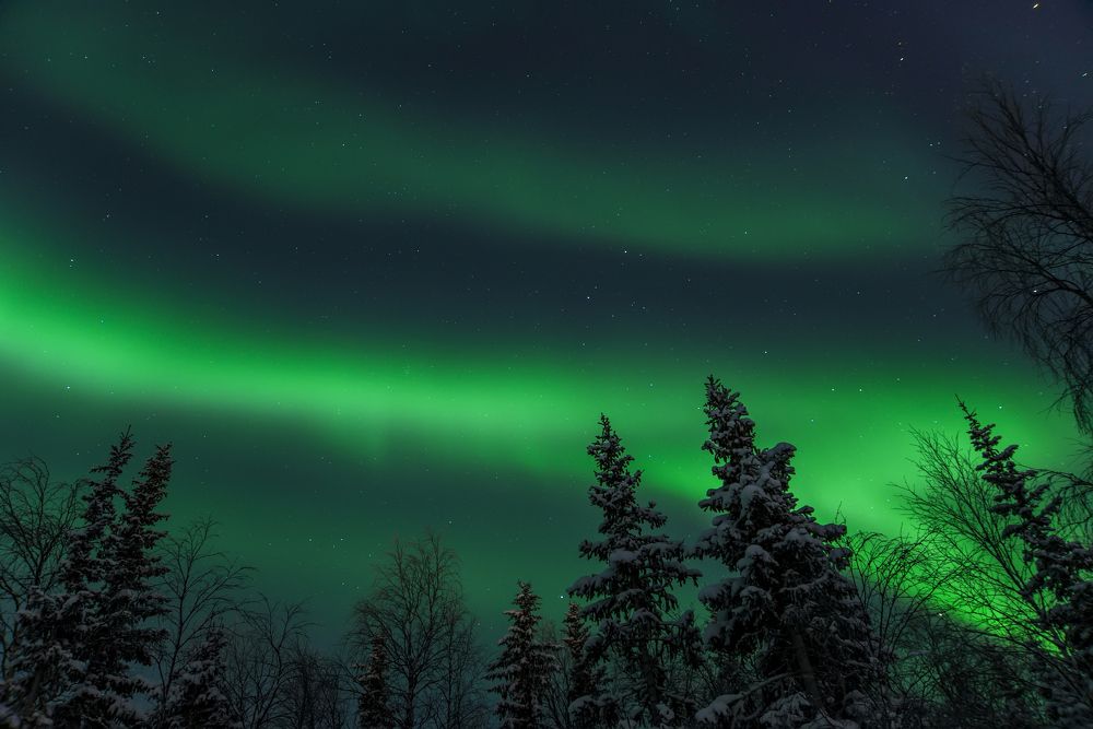 Photograph by Виктор Куликов