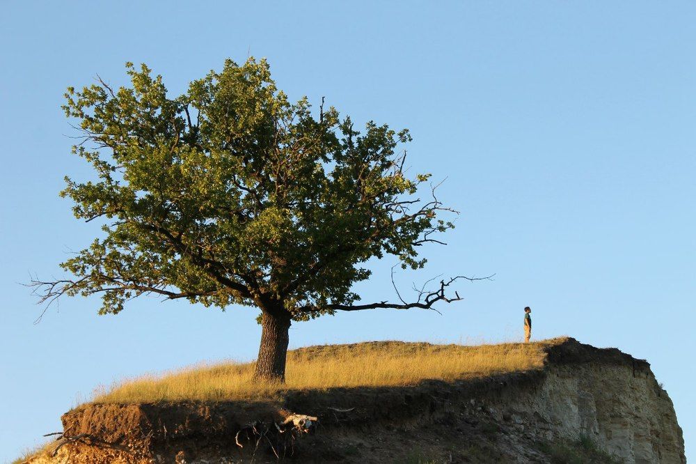 На краю земли