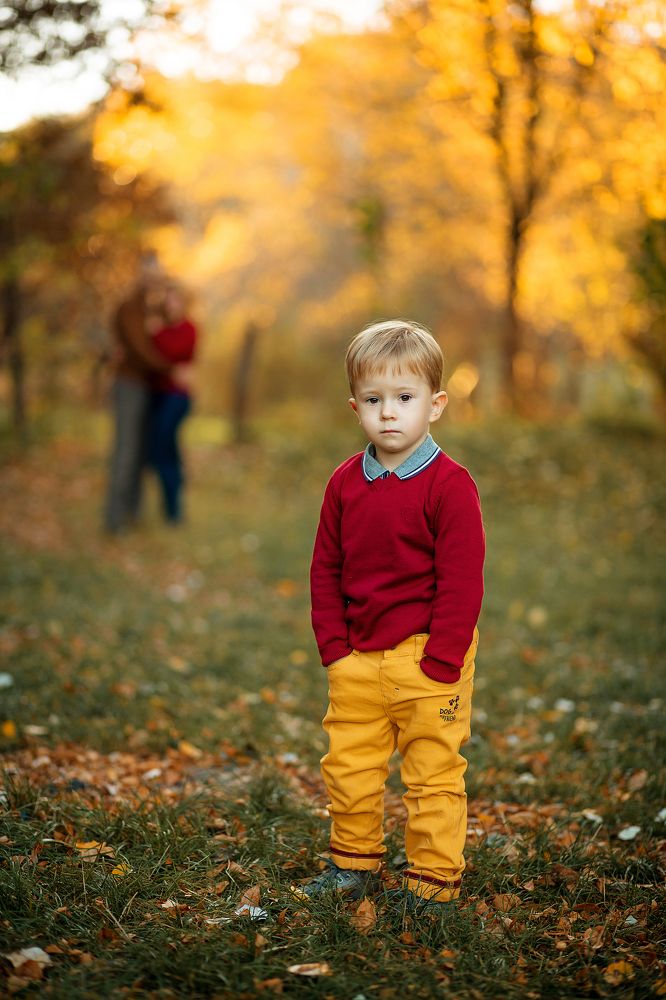 По пути за яблочками