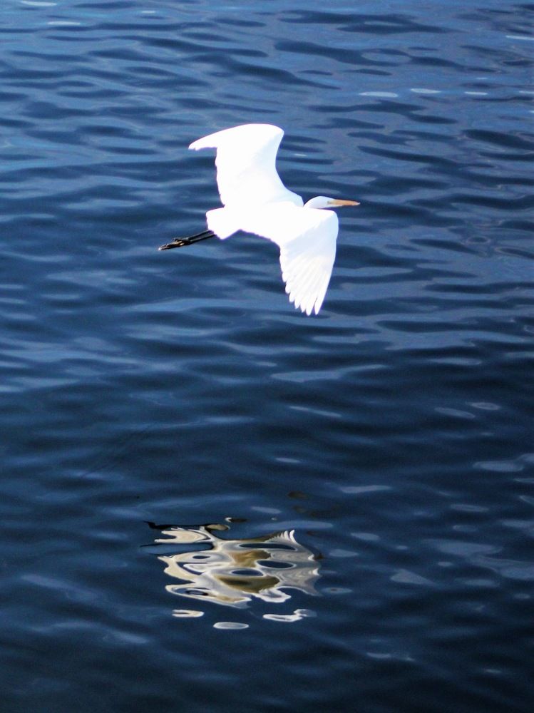 Water mirror