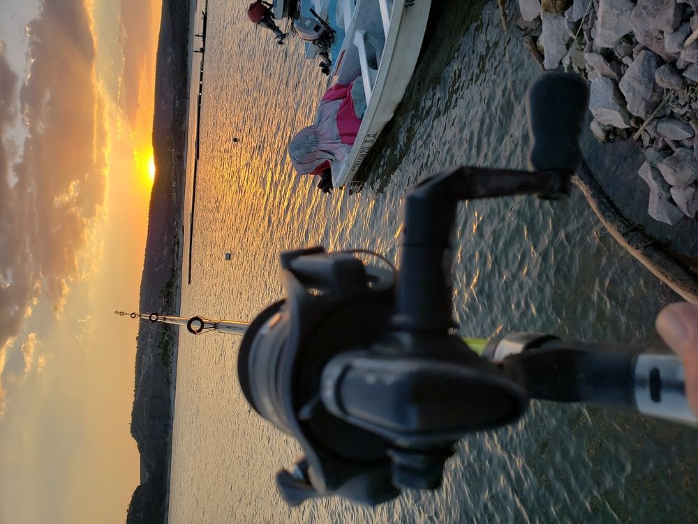 fishing the sunshine
