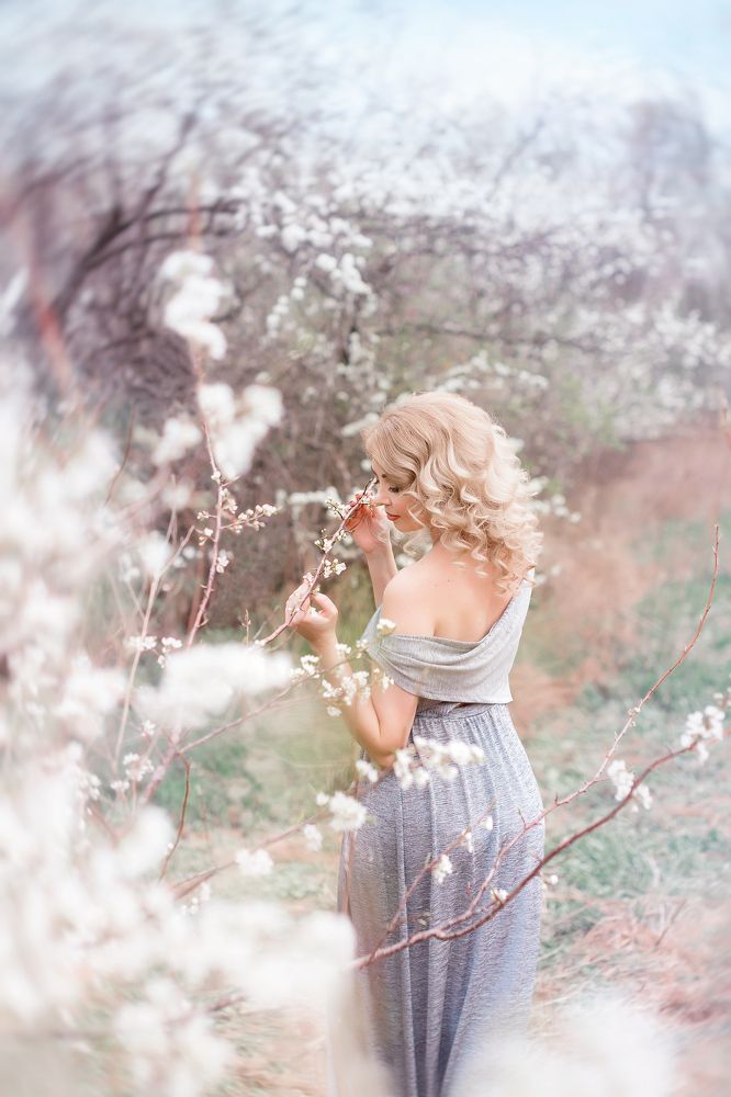 цветущий сад