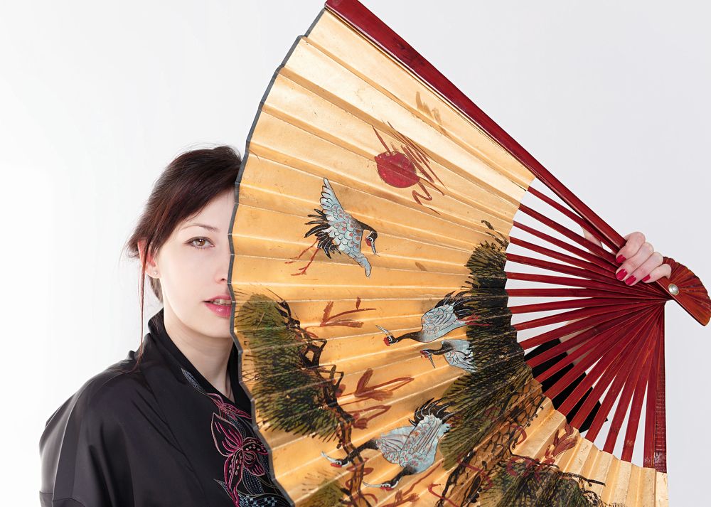 Мемуары гейши