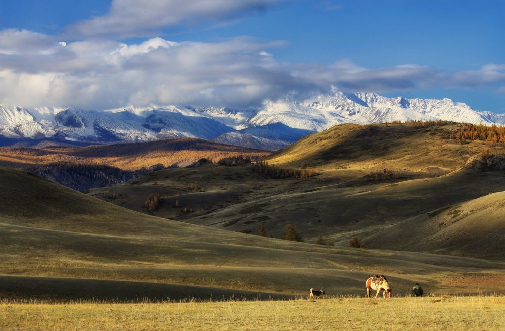 Алтайские будни