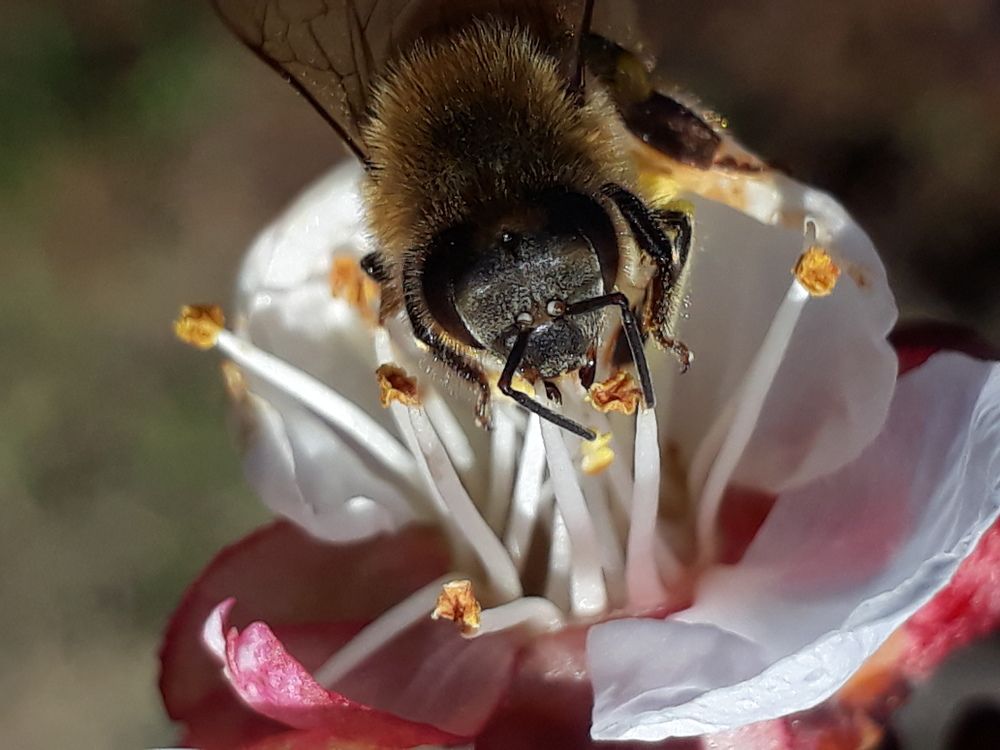 Macro work with mobile