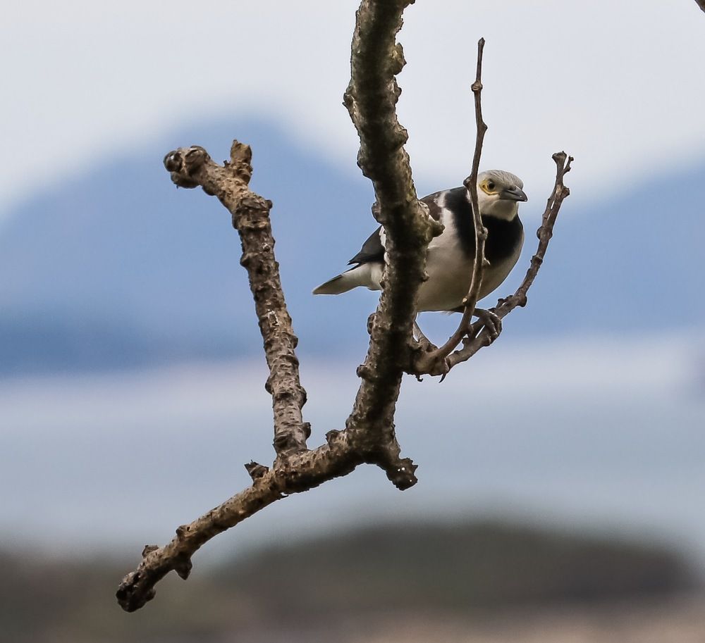 Photograph by Arlene