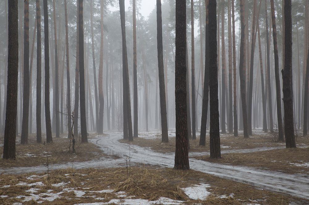 Весеннее утро.
