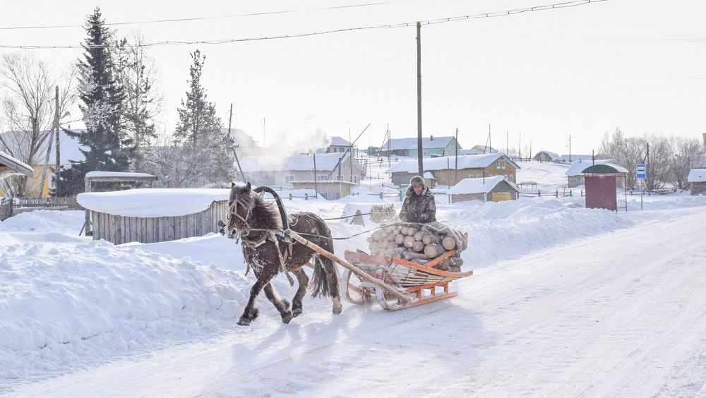 Их леса с дровами