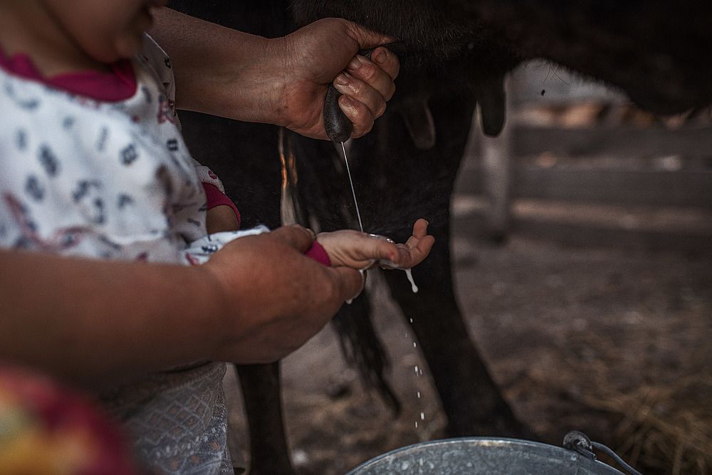 Лето в деревне