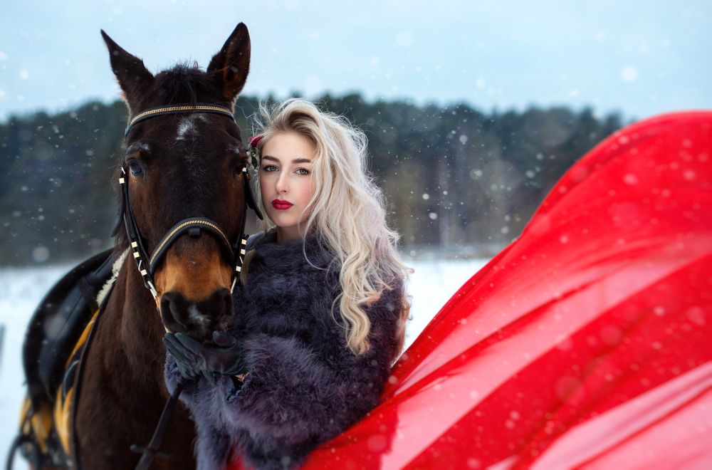 Верный конь