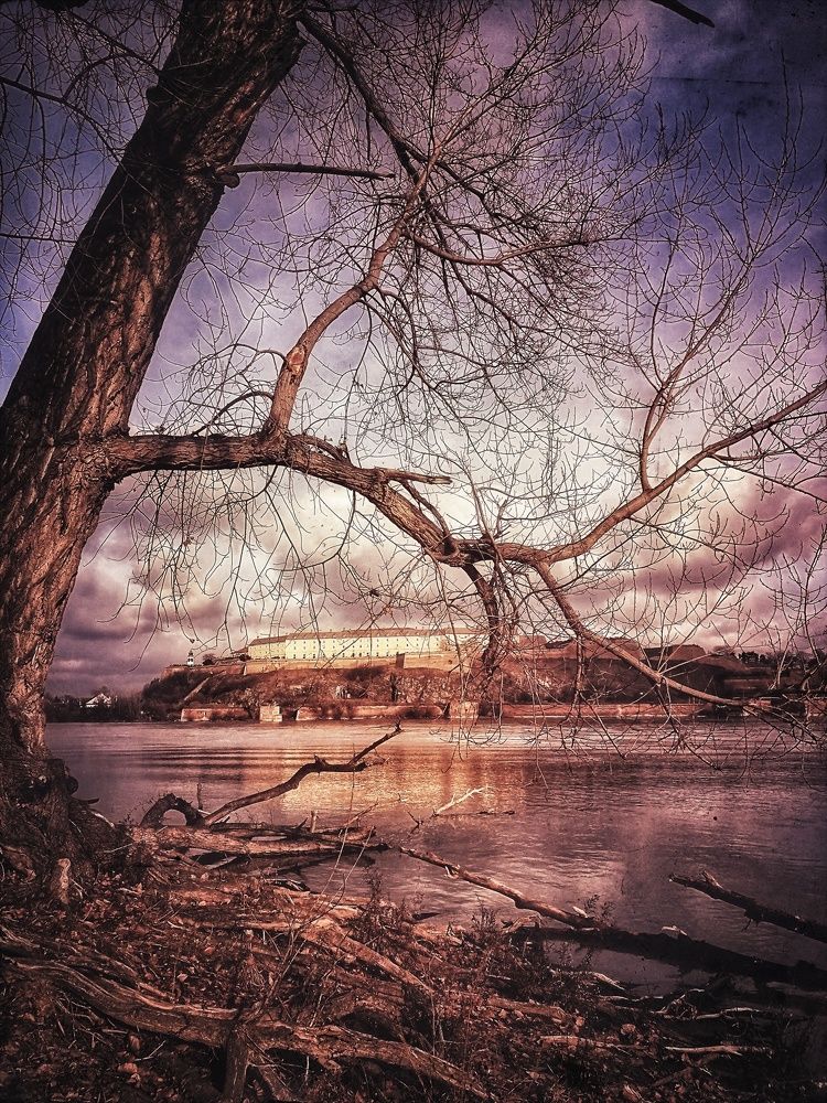 through branches