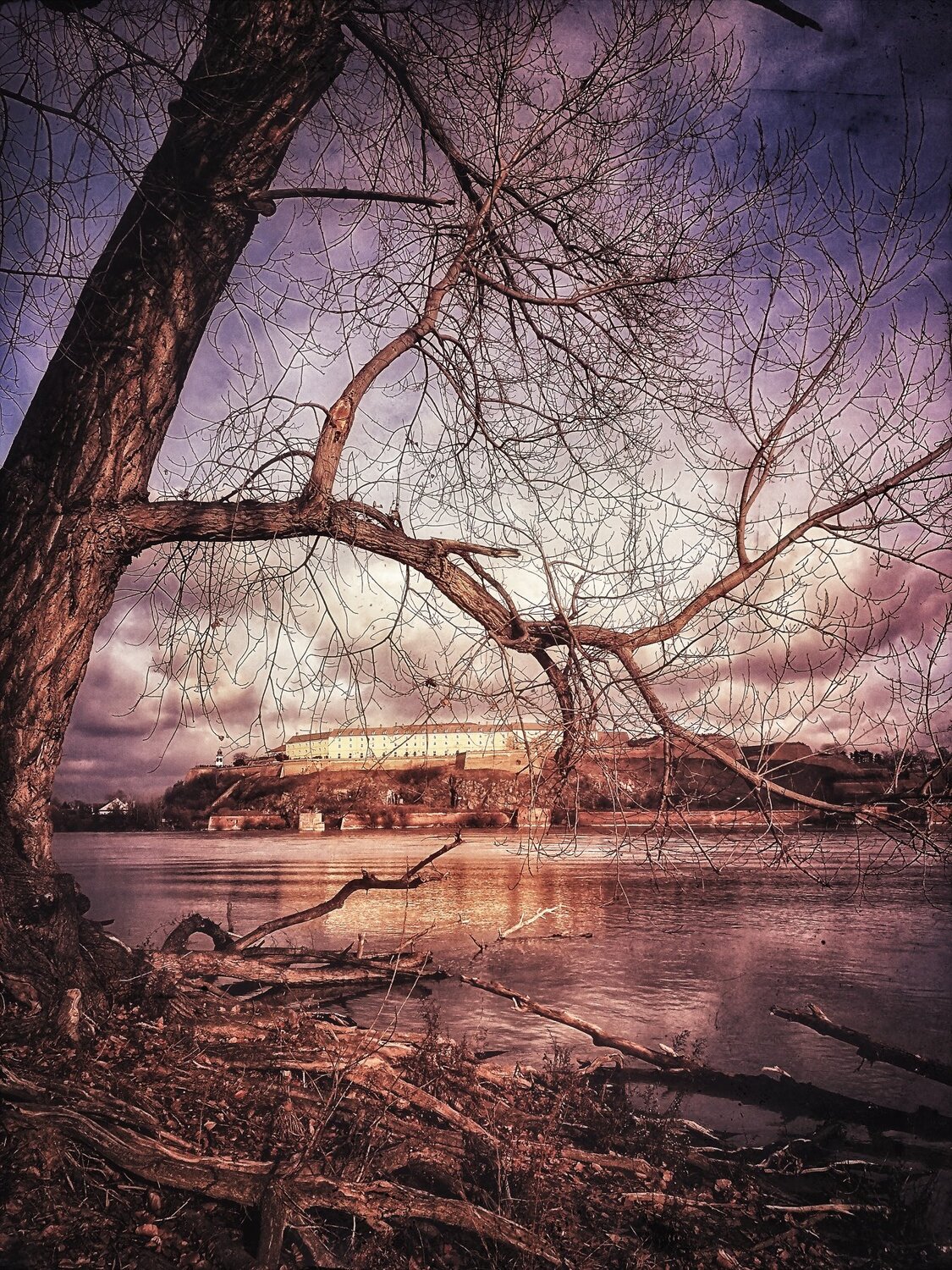 through branches