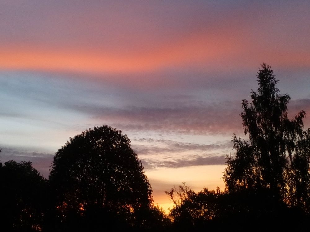 Photo #3094243