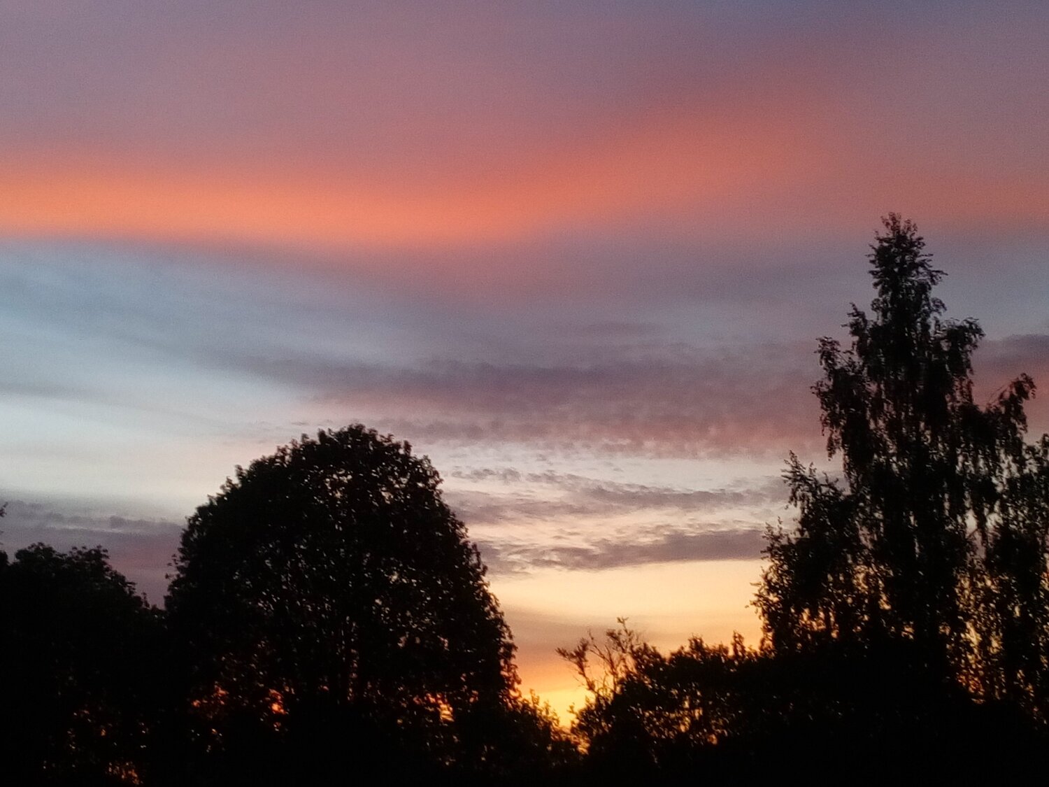 Photo #3094243