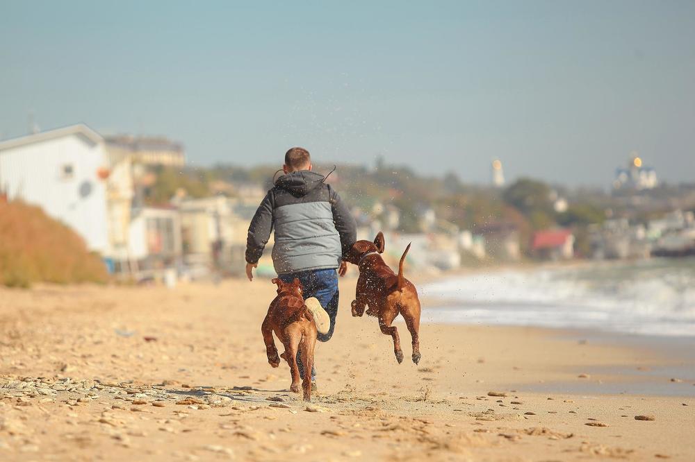 Photograph by Галина Ледок