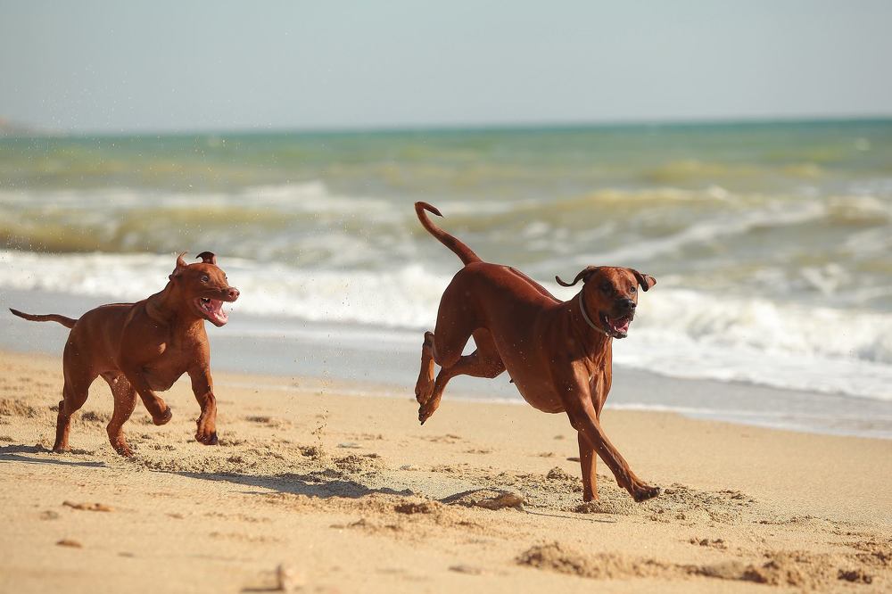 Photograph by Галина Ледок