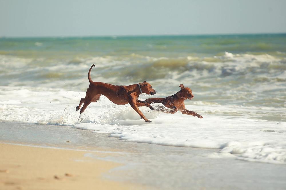 Photograph by Галина Ледок