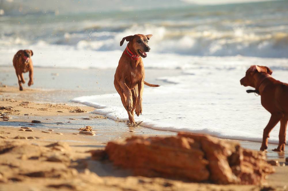 Photograph by Галина Ледок