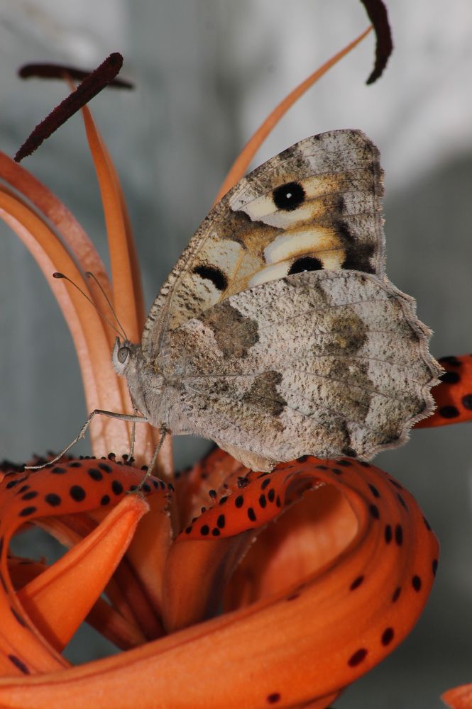 Photograph by Алексей Мехедов