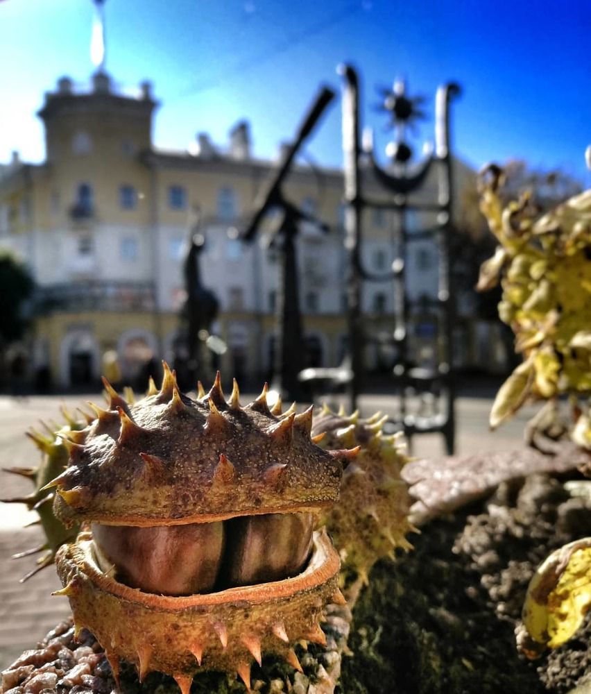 Photograph by Наталья Карпова