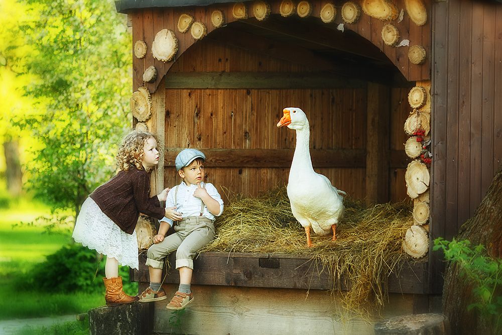 Важный гусь Гоша