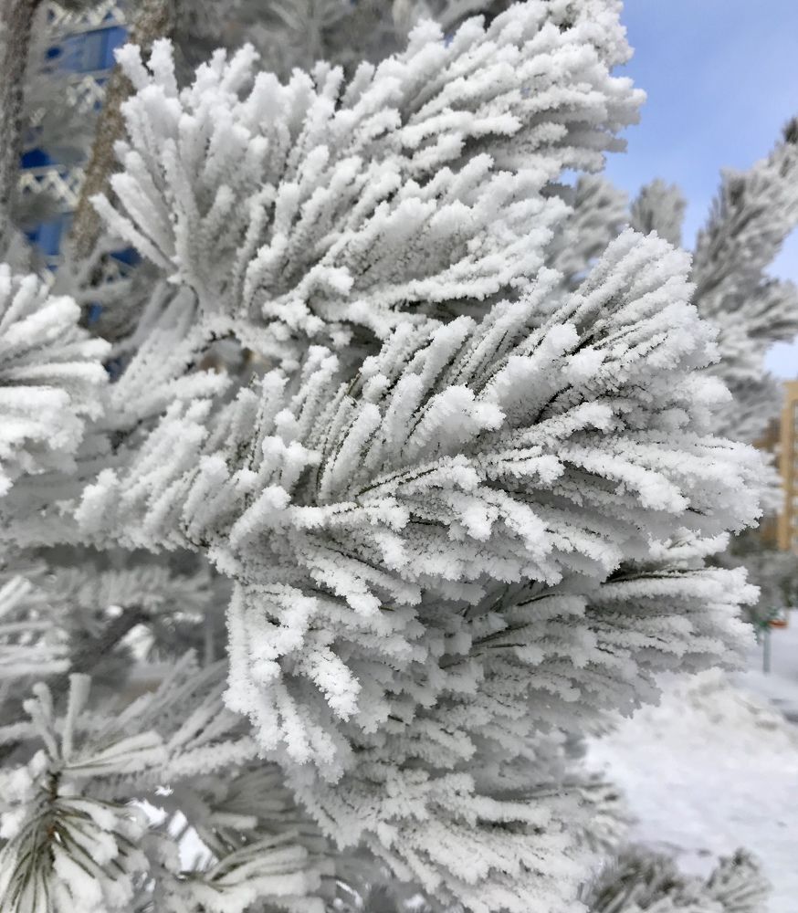 Photograph by Анар Амирова