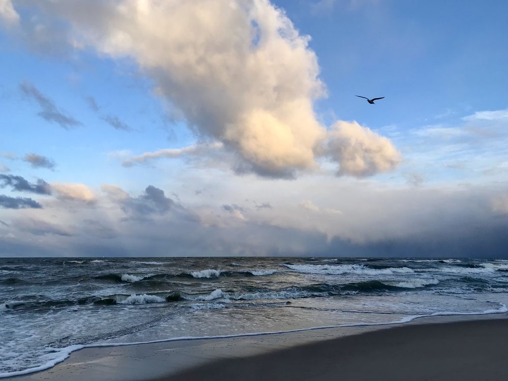 Photograph by marija baranovskaja