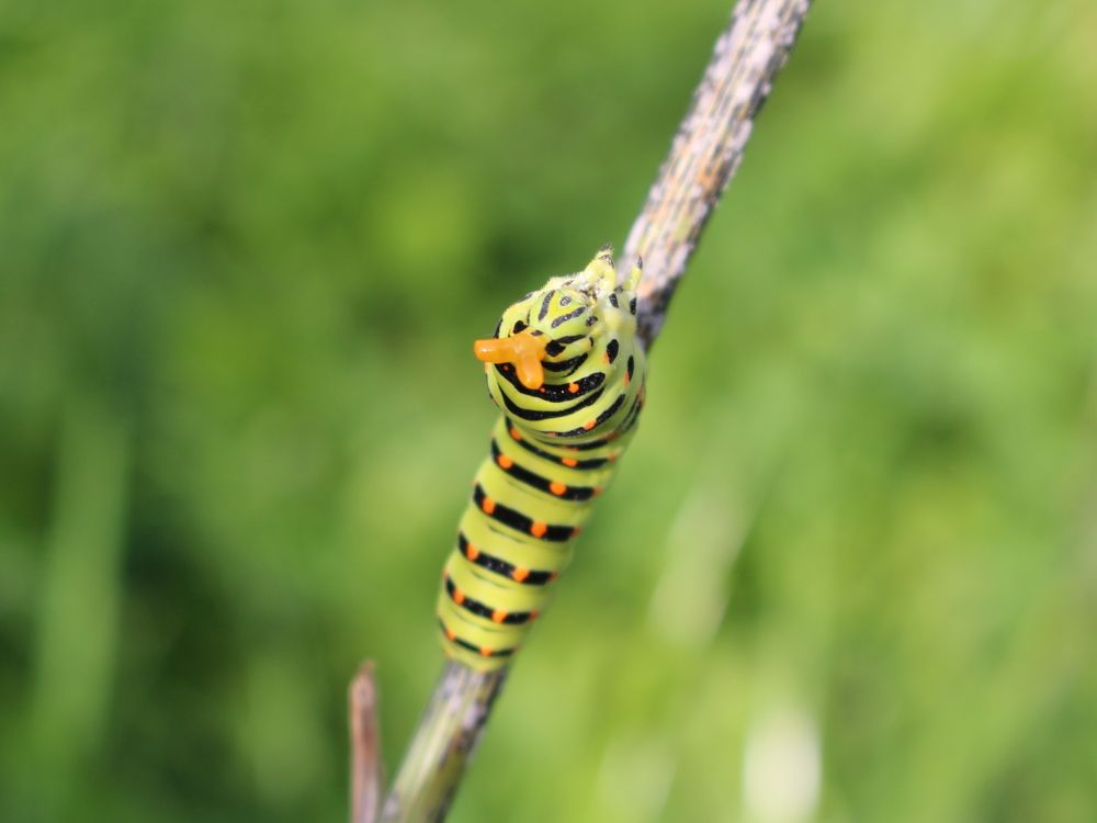 Во все оружии