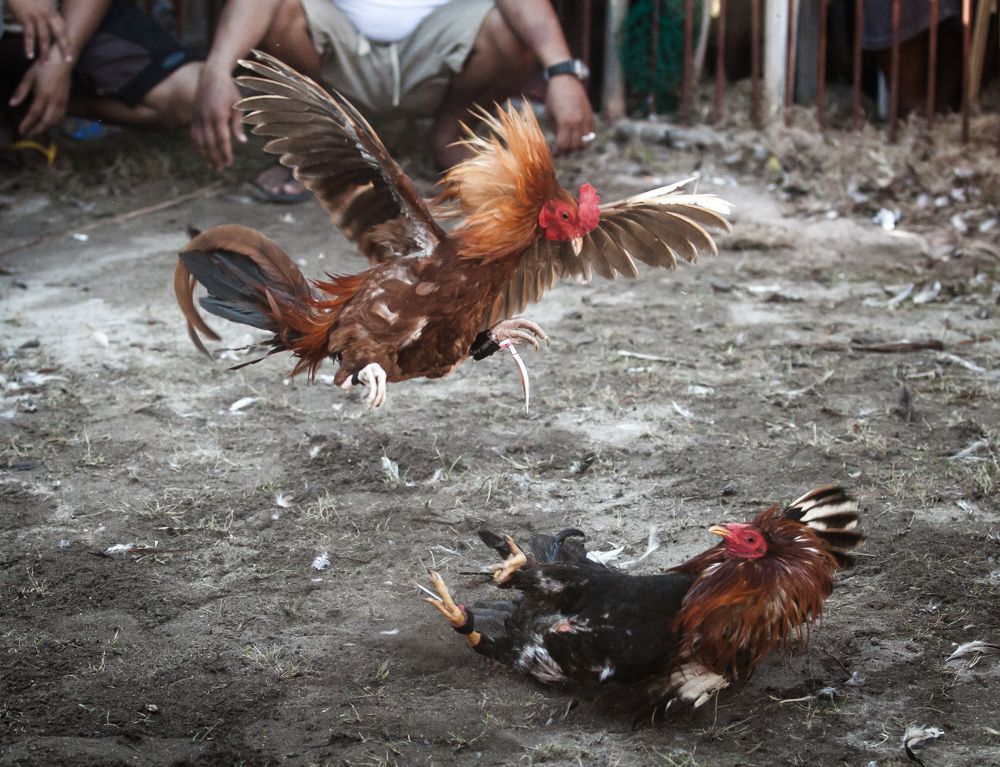 За секунду до..