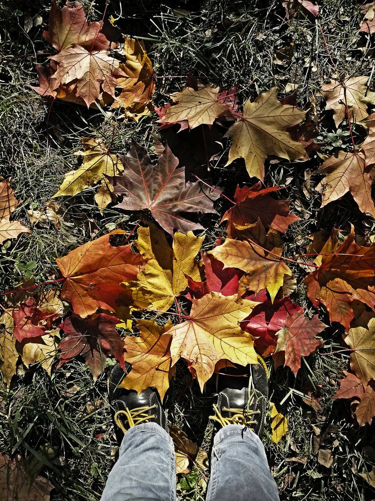 Осень глазами ребёнка