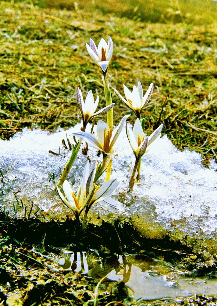 Пробуждение