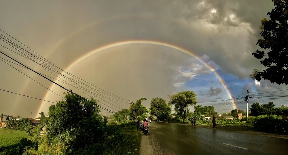 Nature at its best- A road to my hometown