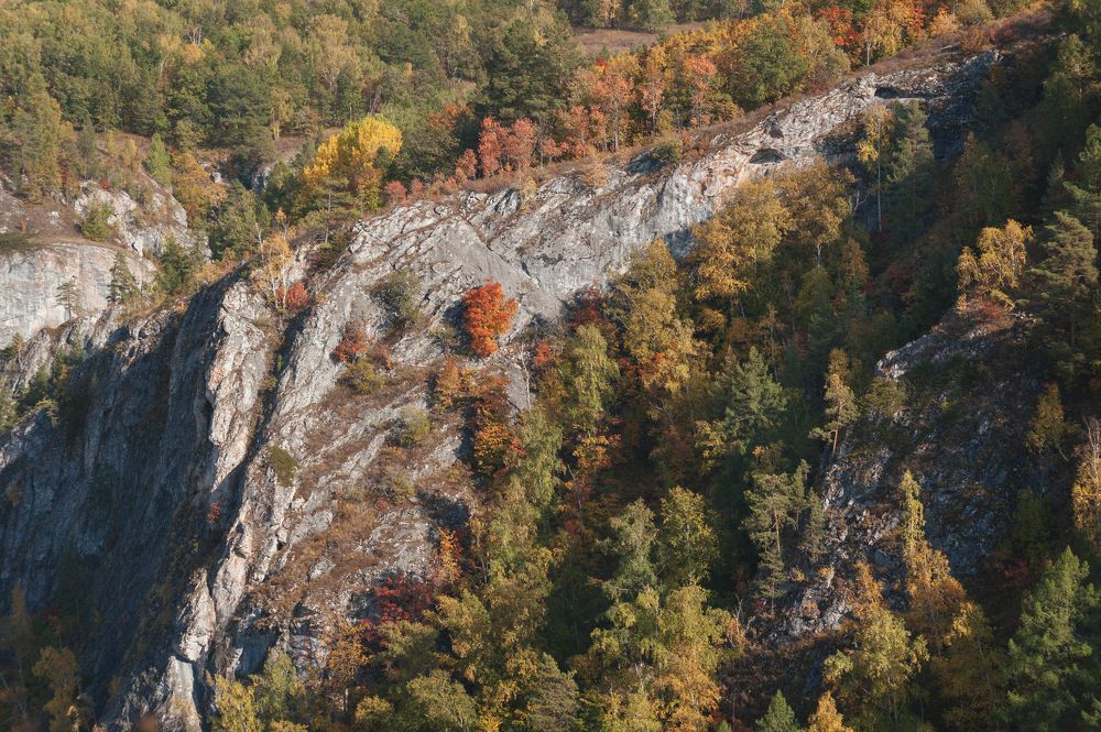 Краски осени.