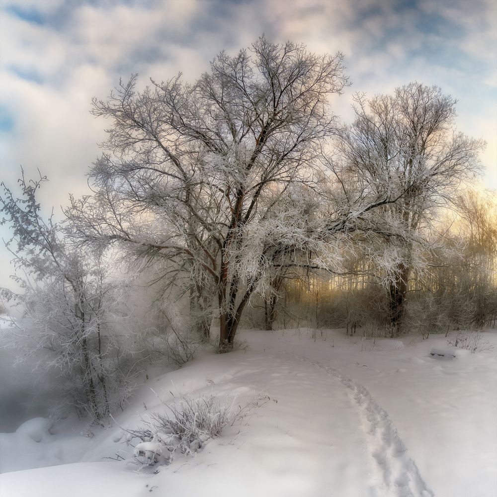 На рассвете