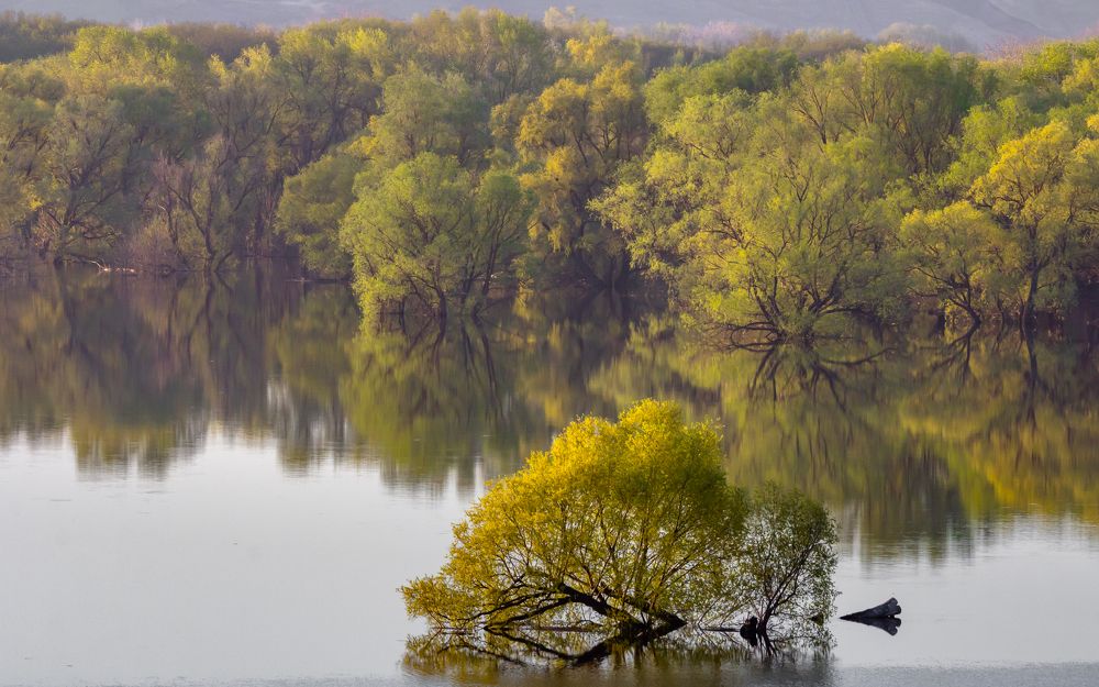 весна на Хопре