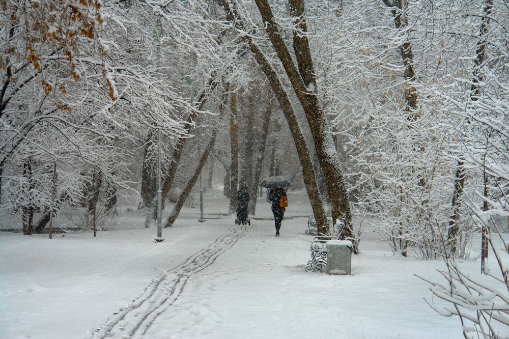 Снежная весна