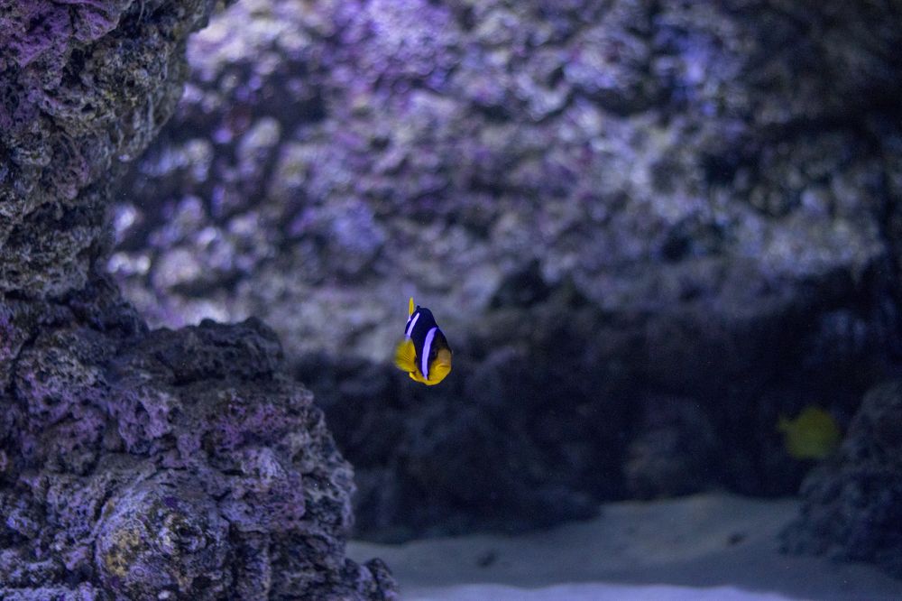 Photograph by Олег