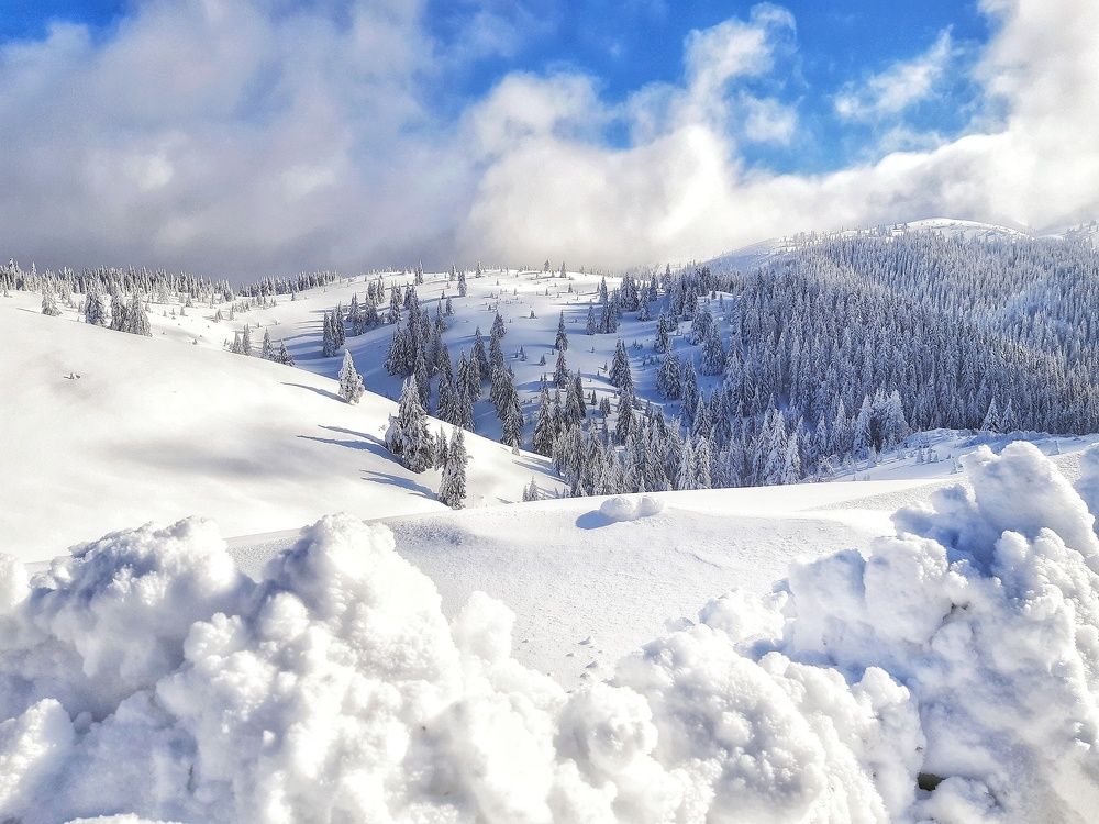 Ciucaş Mountains - Romania