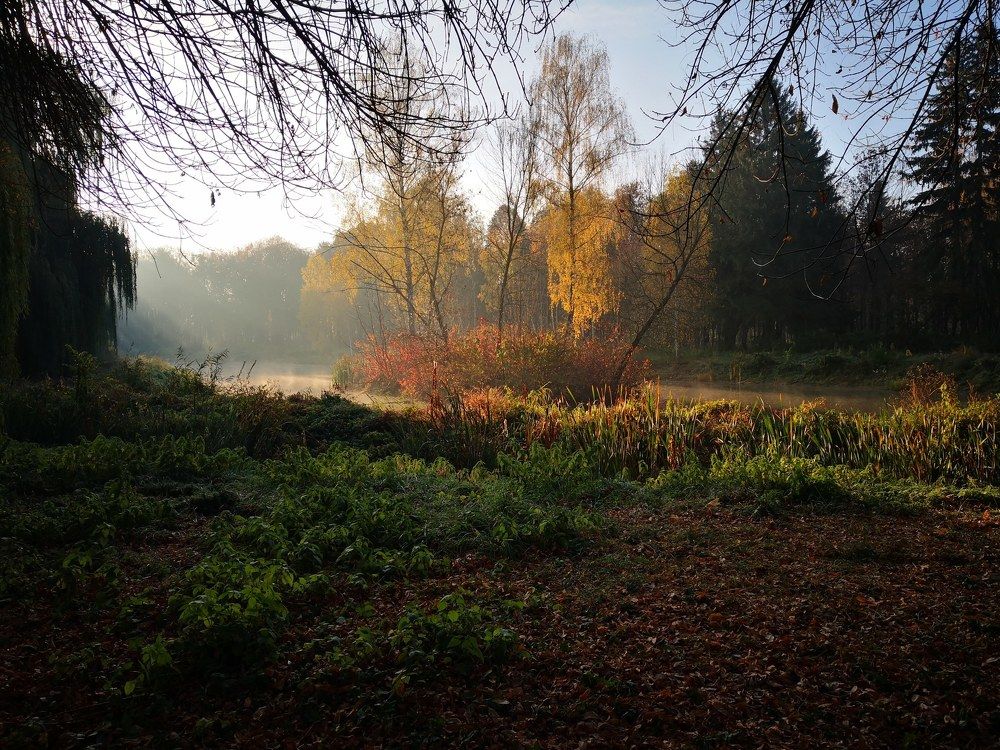 Осенний парк