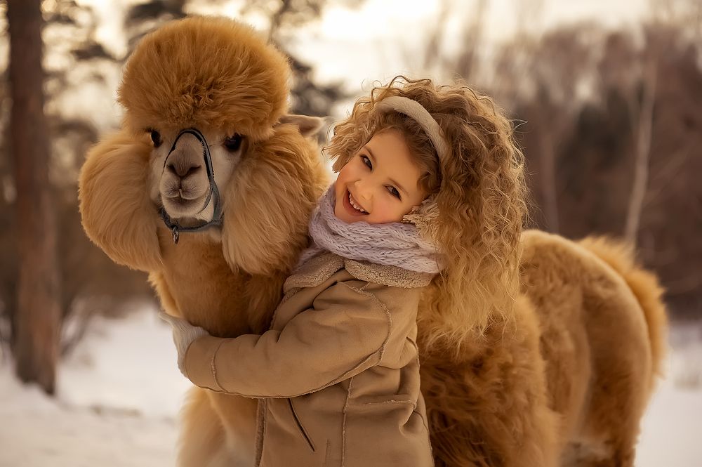Дружба с Альпакой